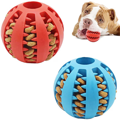 PetVora TreatRoll™ Interactive Ball