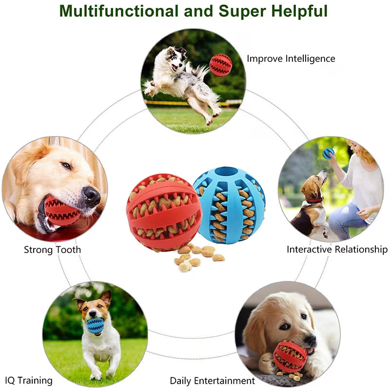 PetVora TreatRoll™ Interactive Ball
