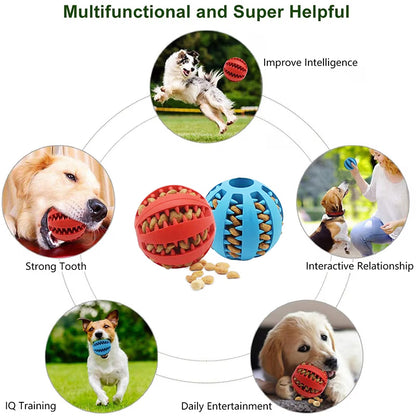 PetVora TreatRoll™ Interactive Ball