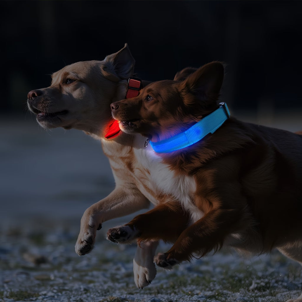 PetVora Glow Collar™