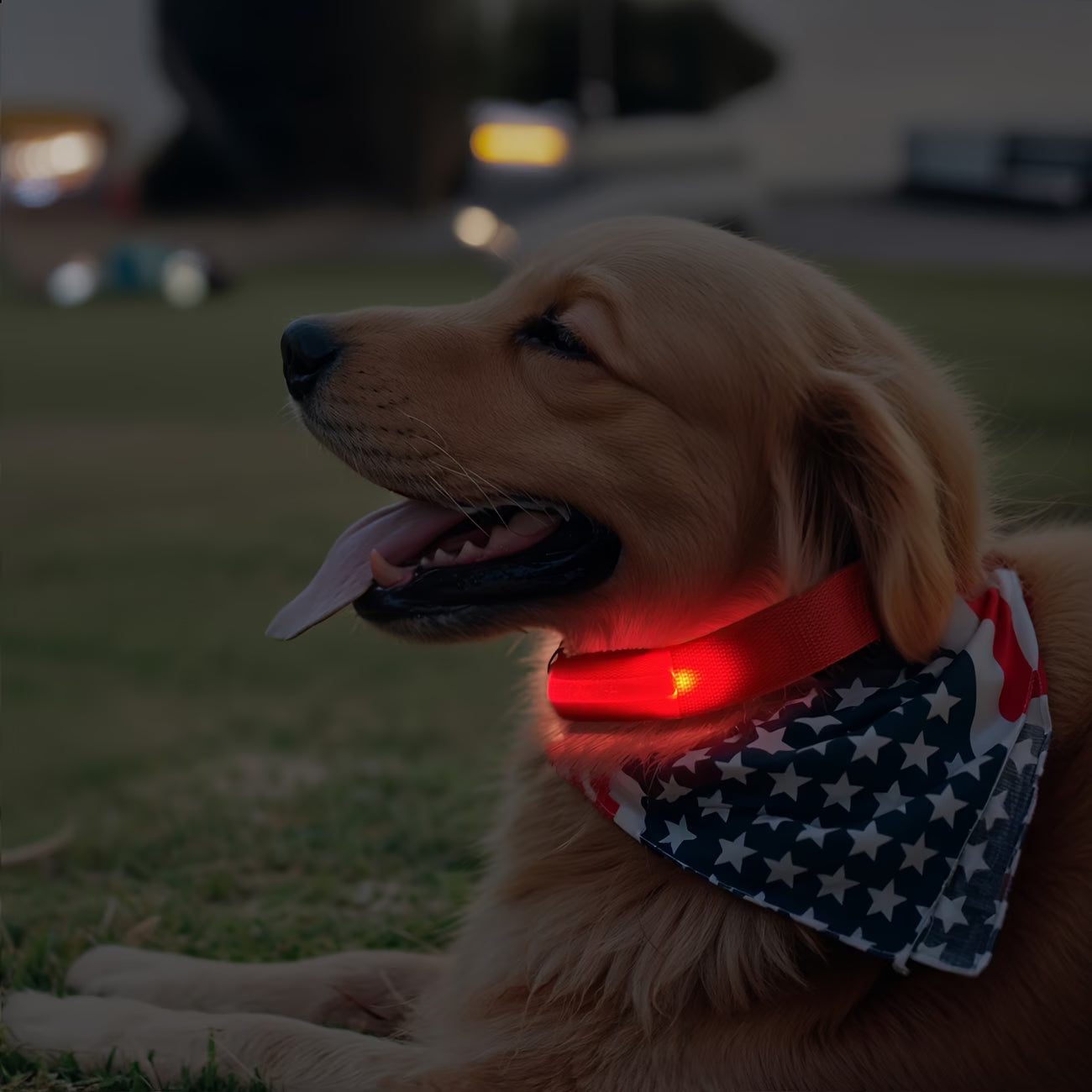 PetVora Glow Collar™
