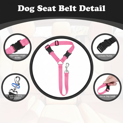 Pink Collar & Leash