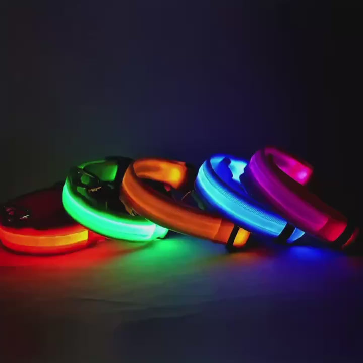 PetVora Glow Collar™
